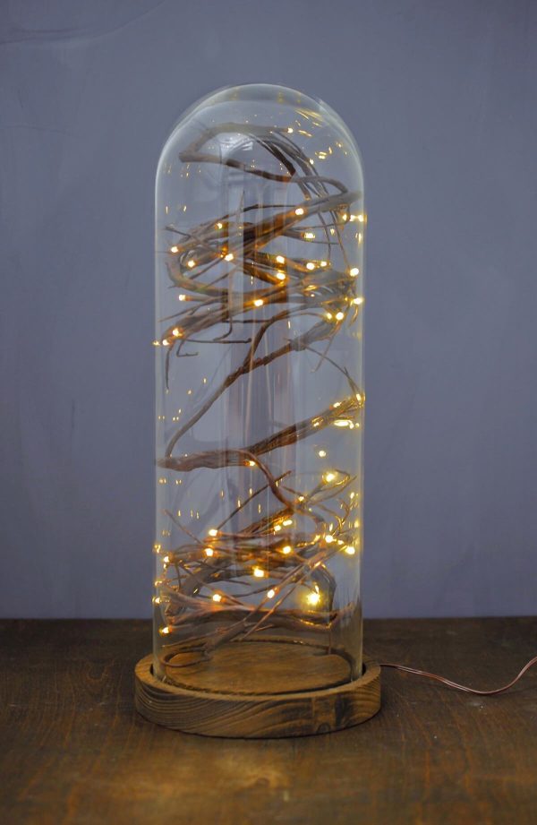 16  Glass Cloche with Wood Base For Sale - Image 2