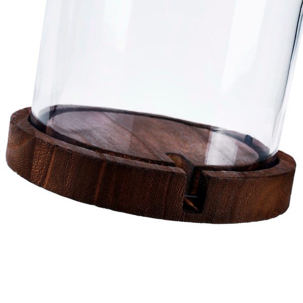 16  Glass Cloche with Wood Base For Sale - Image 3