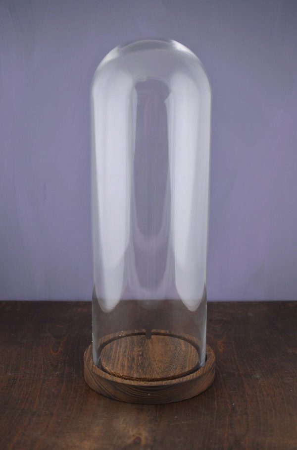 16  Glass Cloche with Wood Base For Sale
